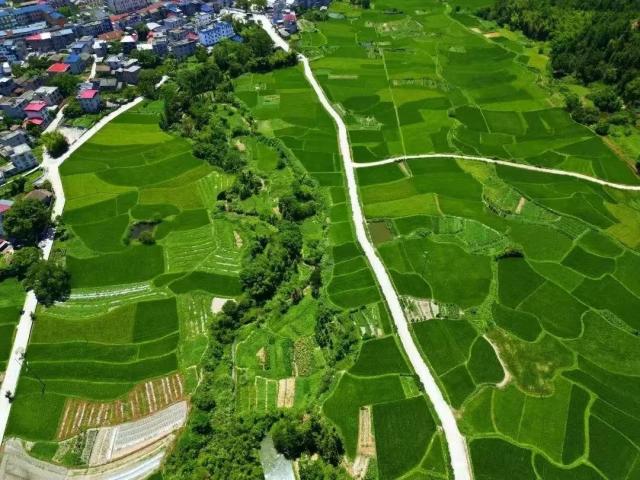 吉安市農業農村局 推動政府信息公開與職業技能培訓融合發展